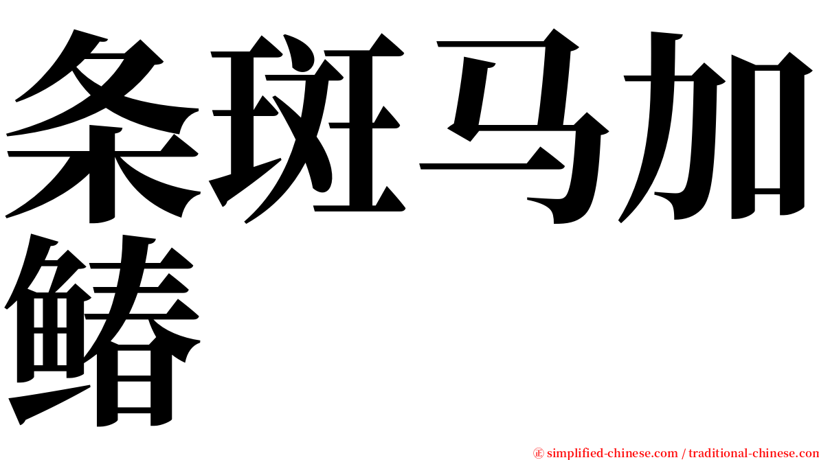 条斑马加䲠 serif font