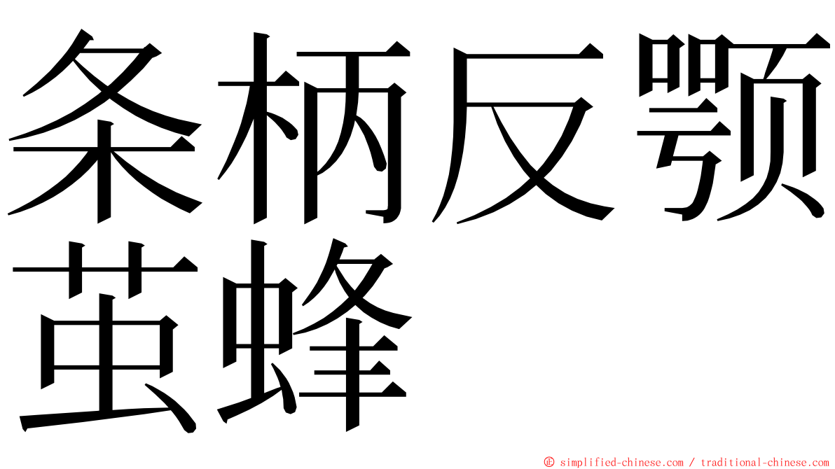 条柄反颚茧蜂 ming font