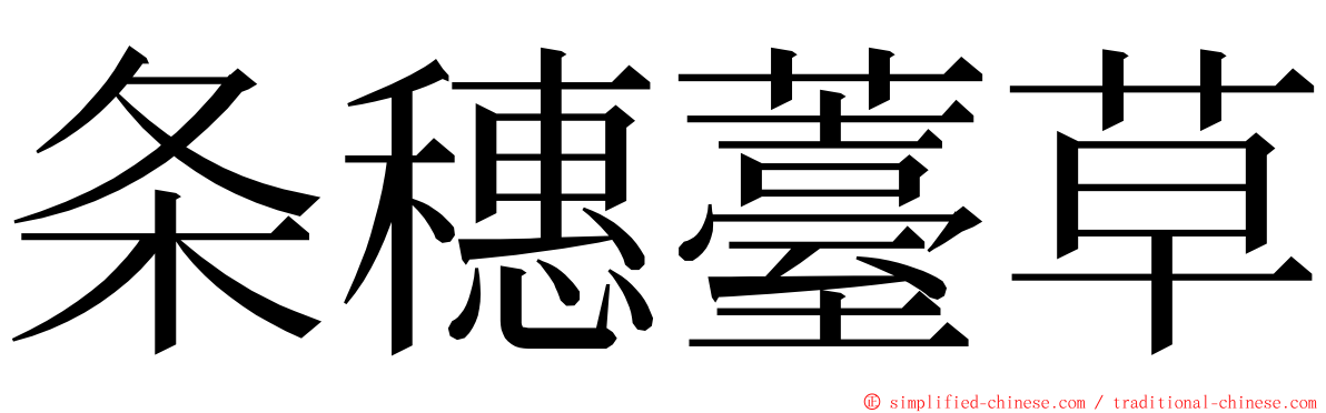 条穗薹草 ming font