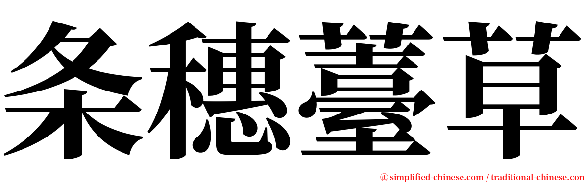 条穗薹草 serif font