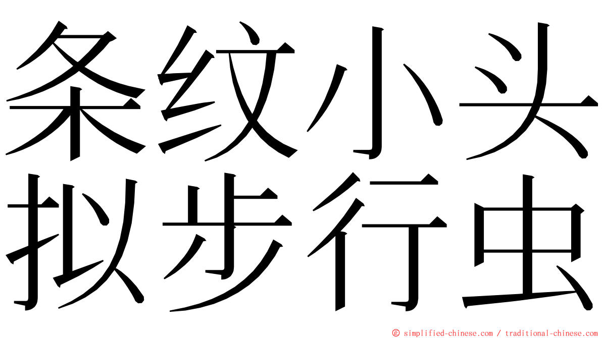 条纹小头拟步行虫 ming font