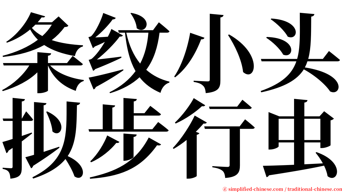 条纹小头拟步行虫 serif font