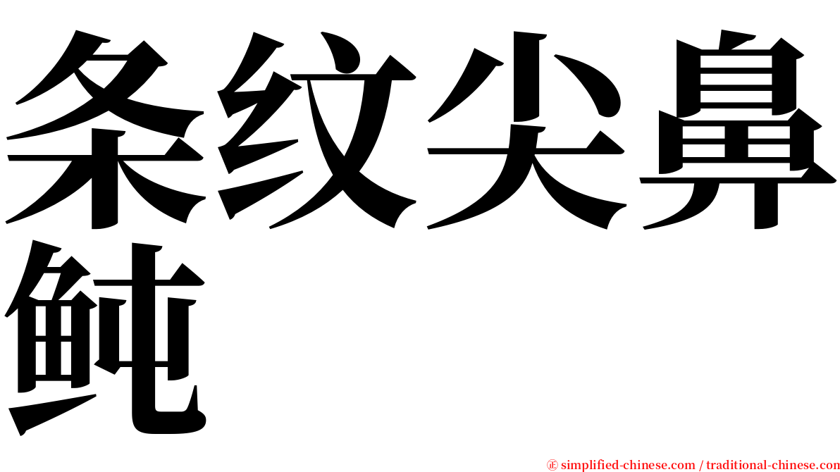 条纹尖鼻鲀 serif font