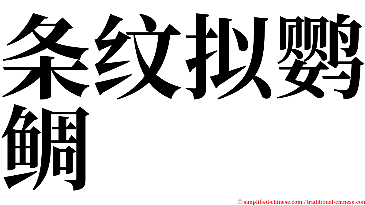 条纹拟鹦鲷 serif font