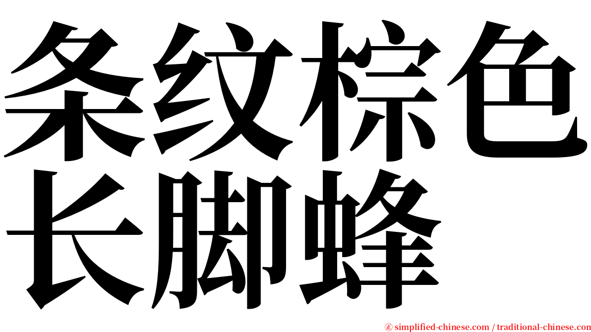 条纹棕色长脚蜂 serif font