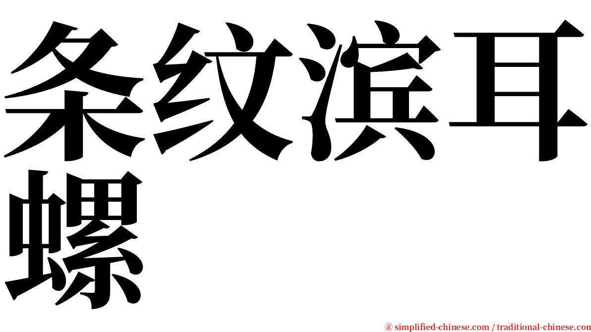 条纹滨耳螺 serif font