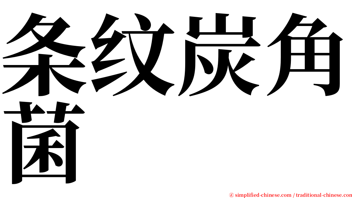 条纹炭角菌 serif font