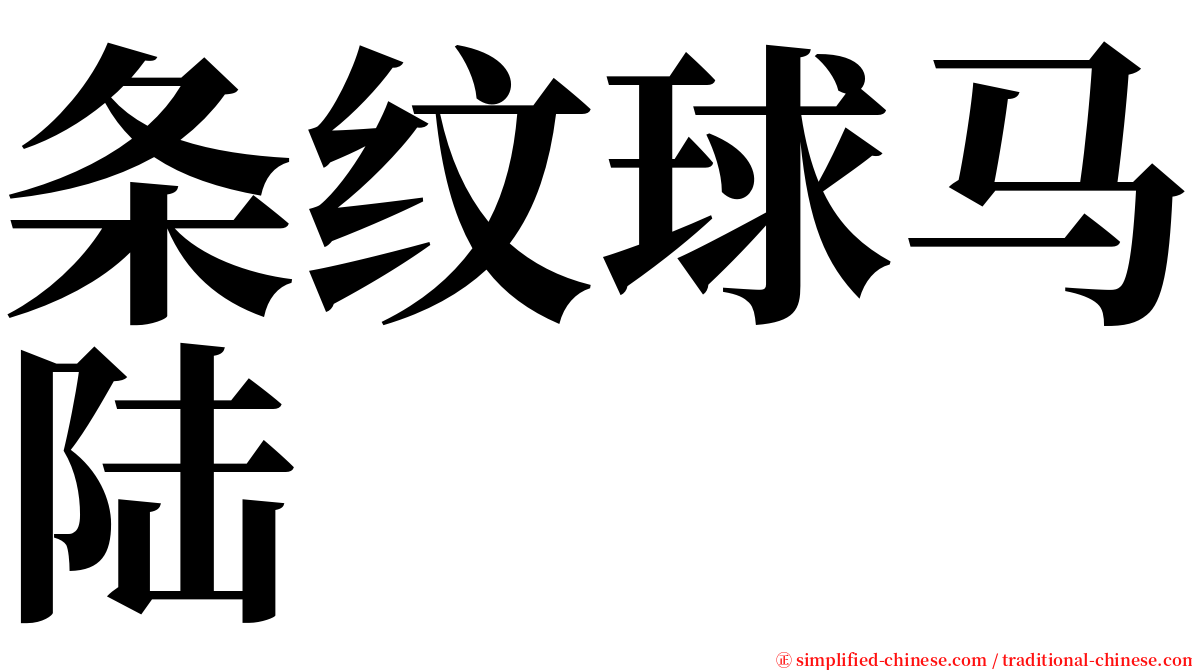 条纹球马陆 serif font