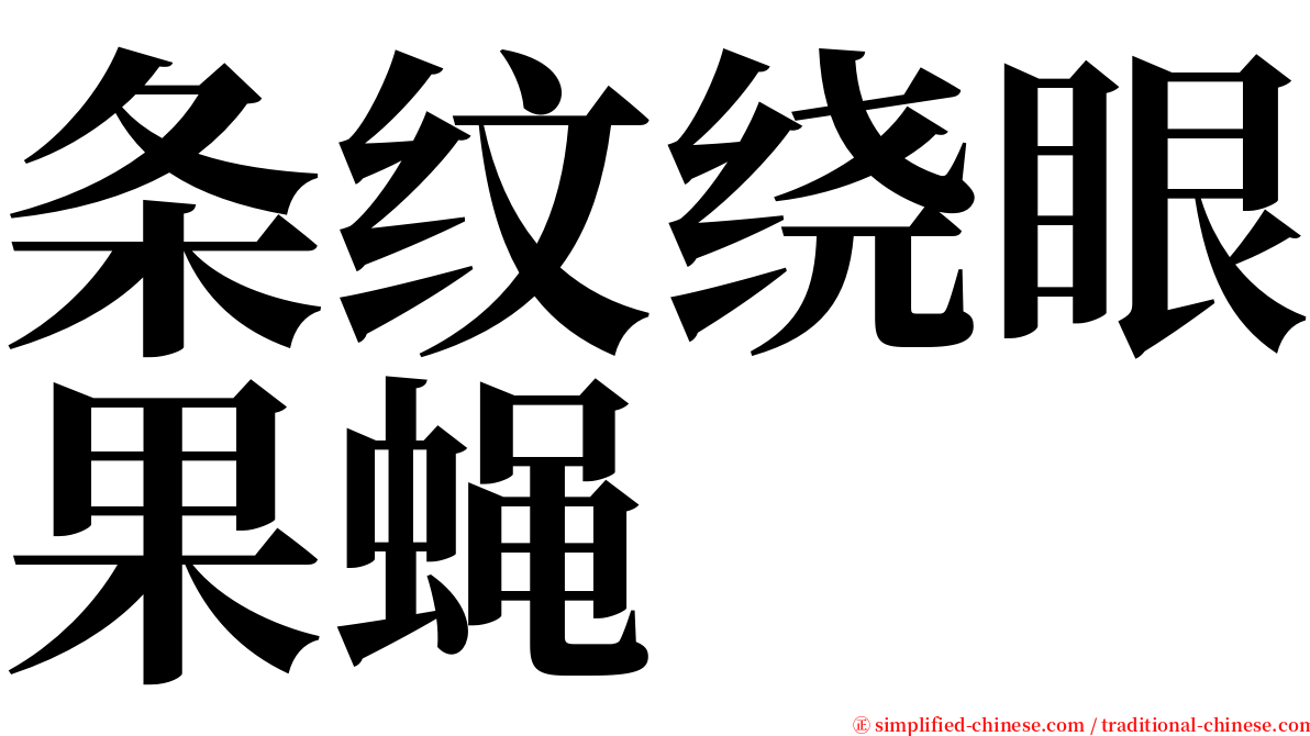 条纹绕眼果蝇 serif font