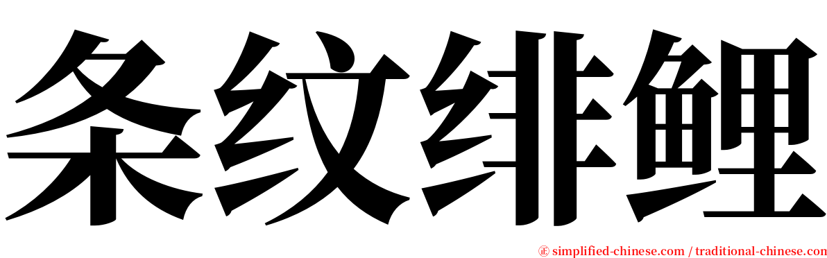 条纹绯鲤 serif font