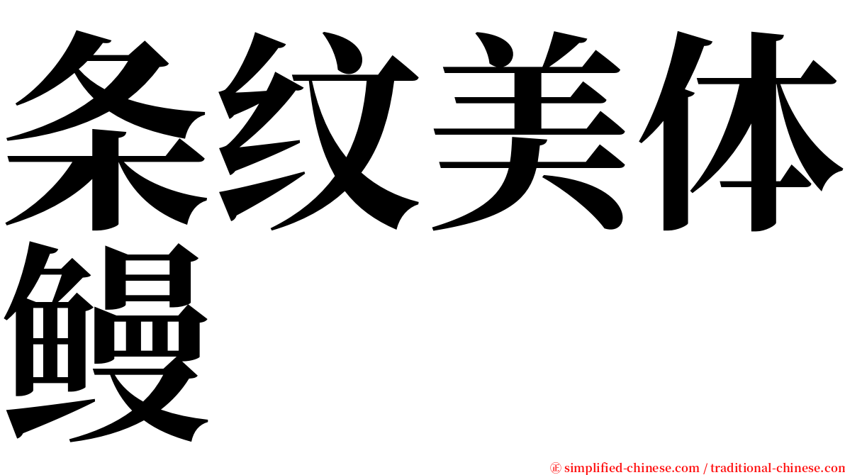 条纹美体鳗 serif font