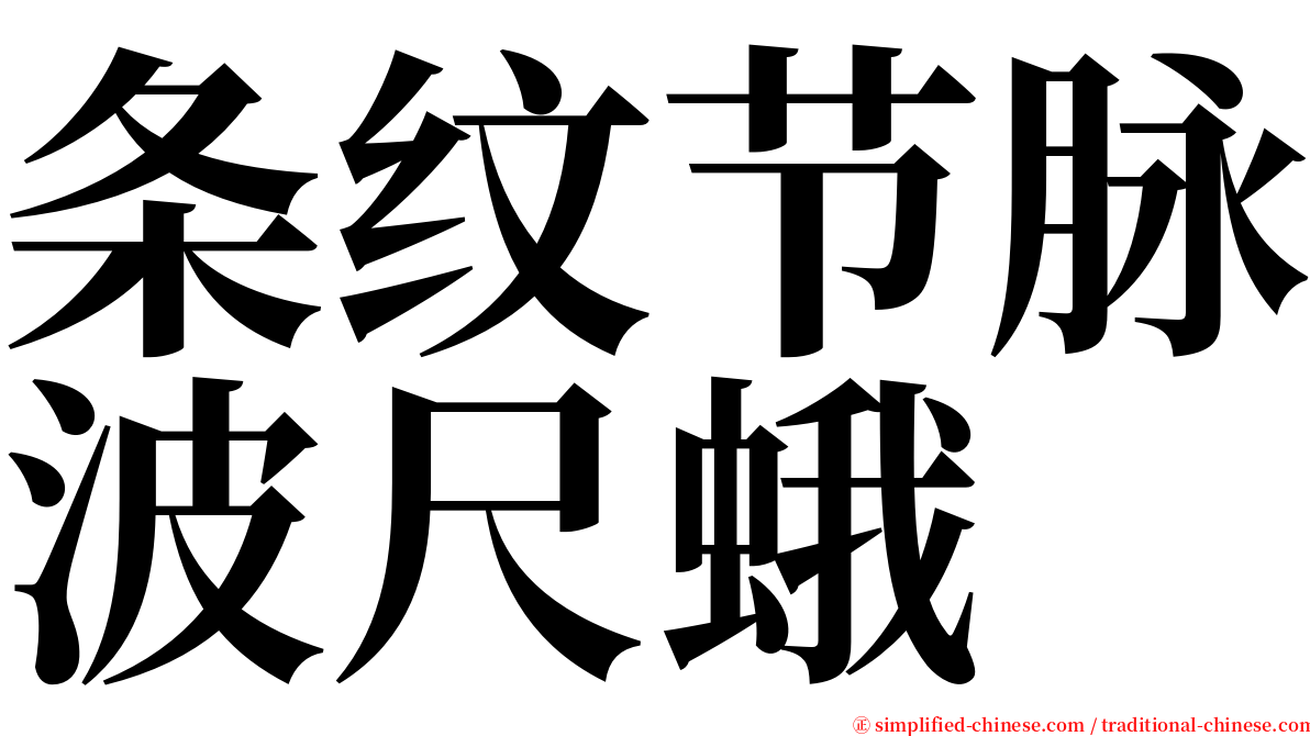 条纹节脉波尺蛾 serif font