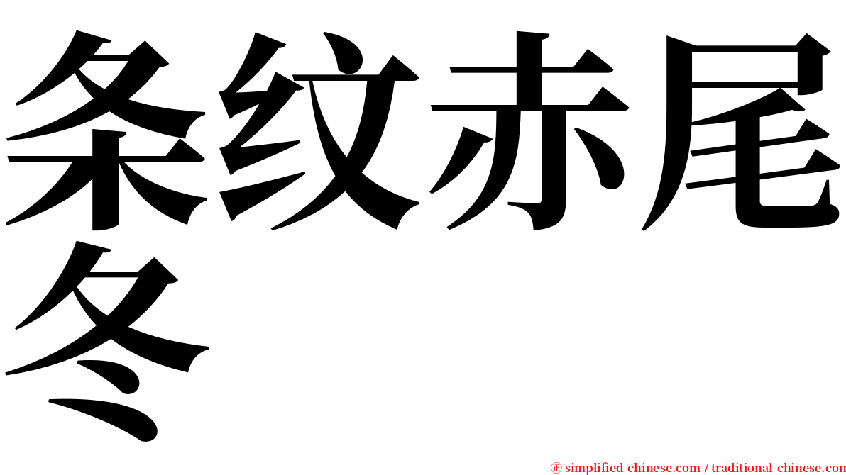 条纹赤尾冬 serif font