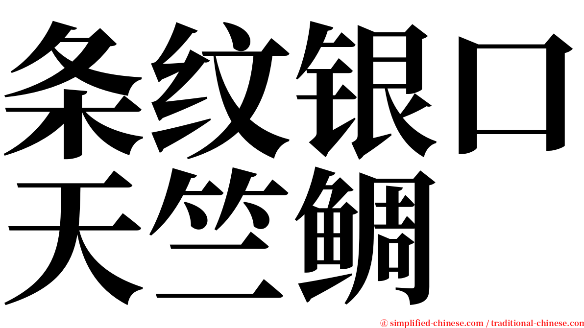 条纹银口天竺鲷 serif font