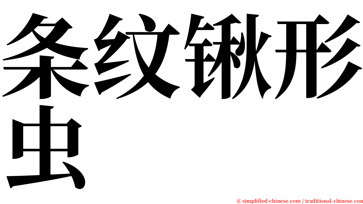 条纹锹形虫 serif font