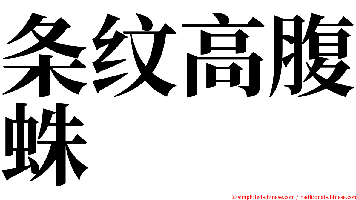 条纹高腹蛛 serif font