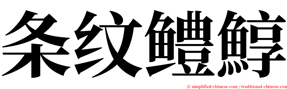 条纹鳢鯙 serif font