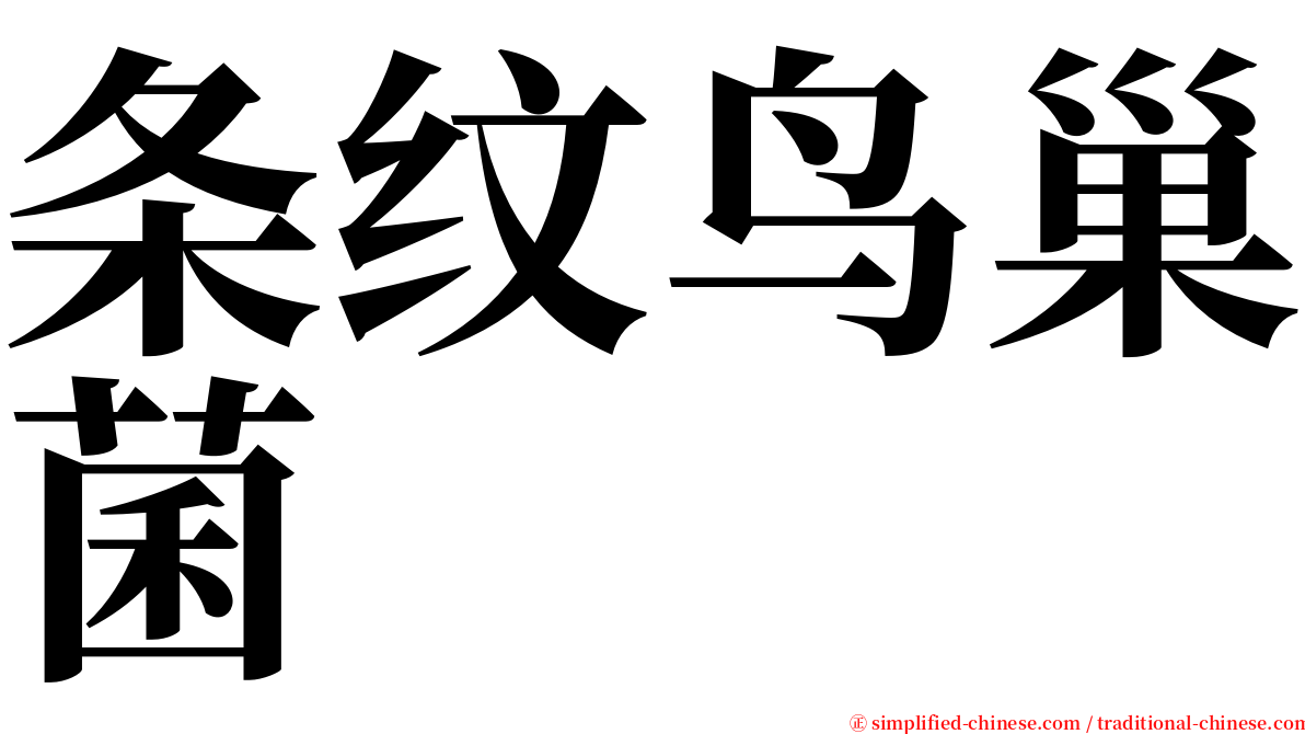 条纹鸟巢菌 serif font