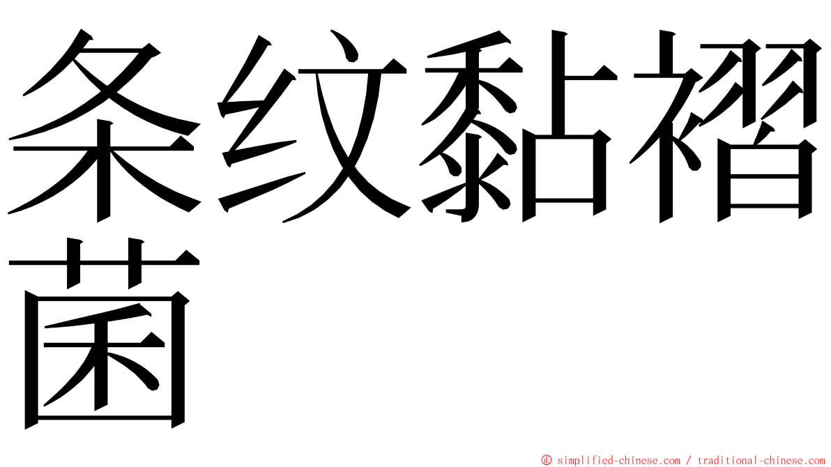 条纹黏褶菌 ming font