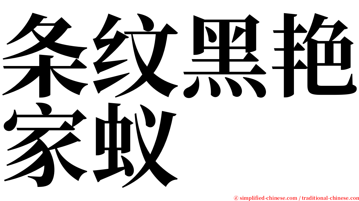 条纹黑艳家蚁 serif font