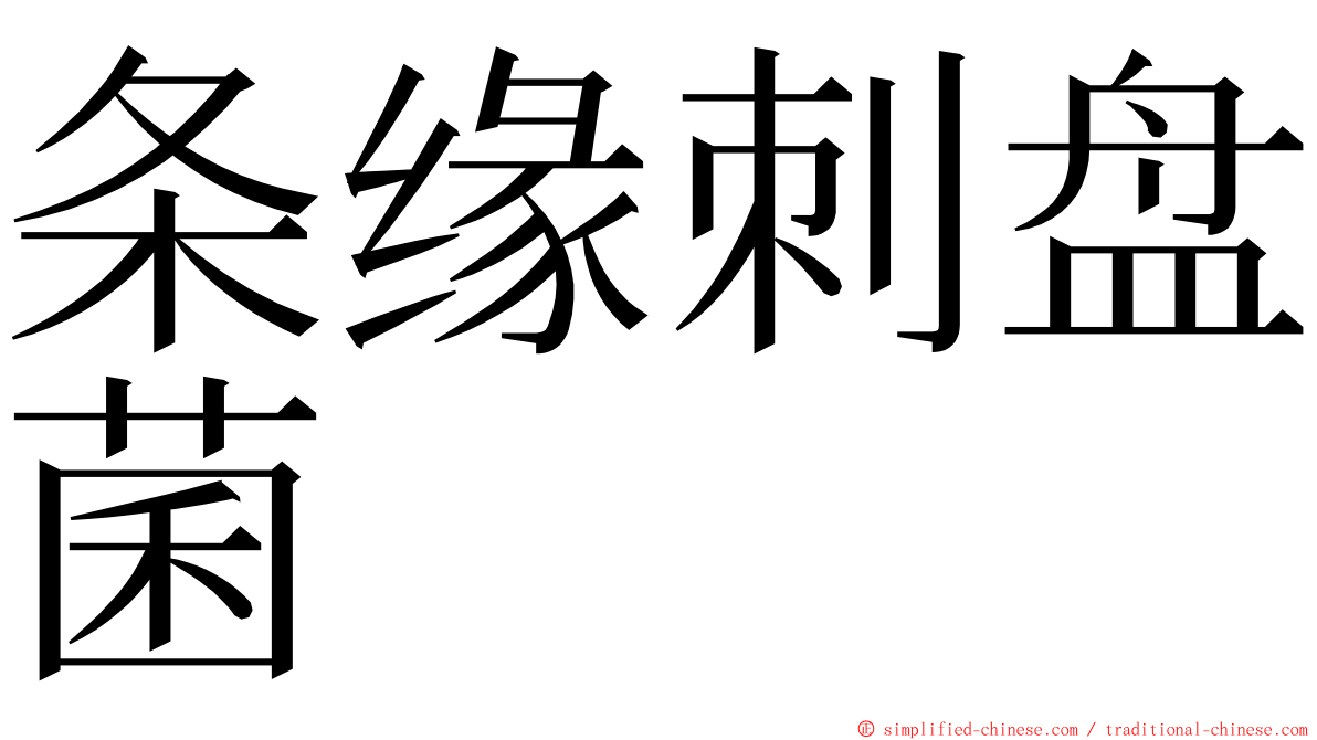 条缘刺盘菌 ming font