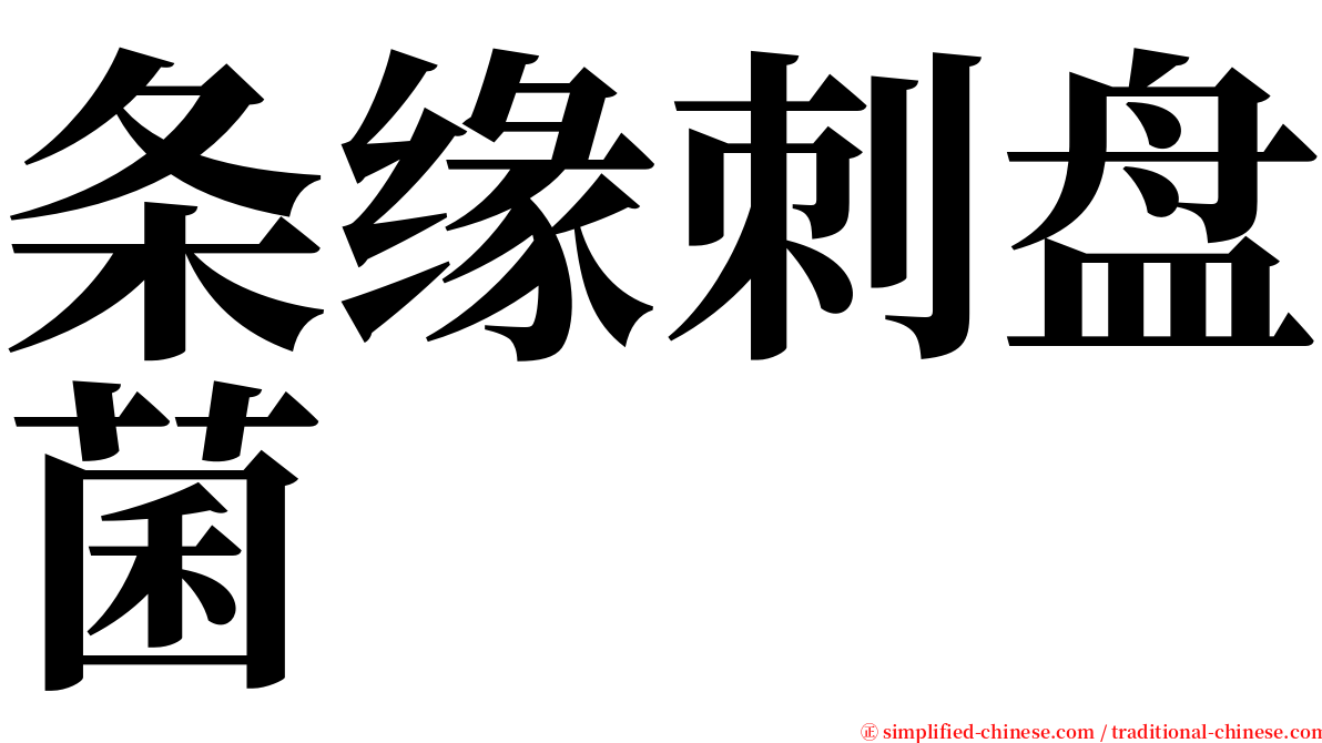 条缘刺盘菌 serif font