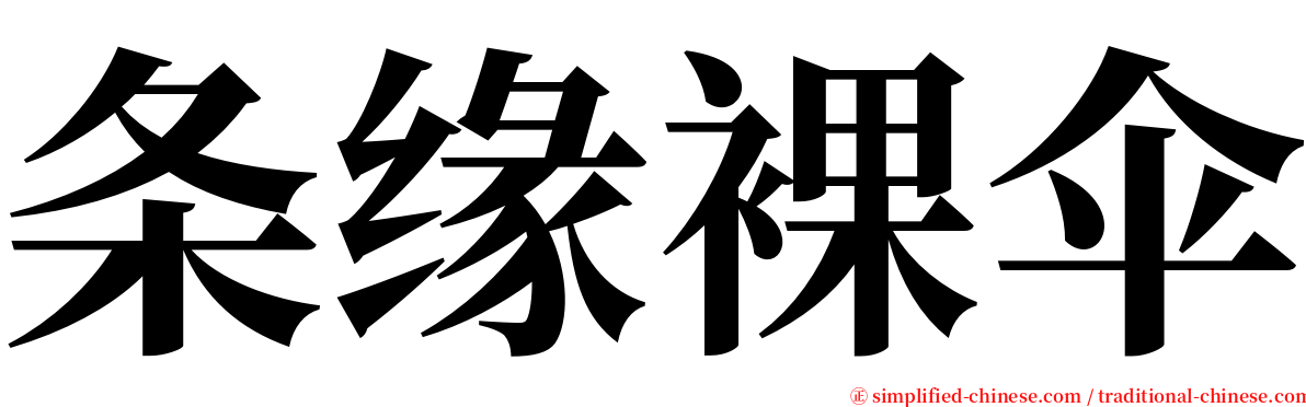 条缘裸伞 serif font