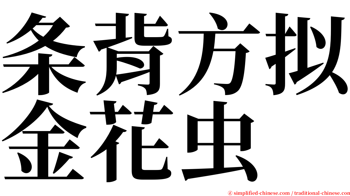 条背方拟金花虫 serif font