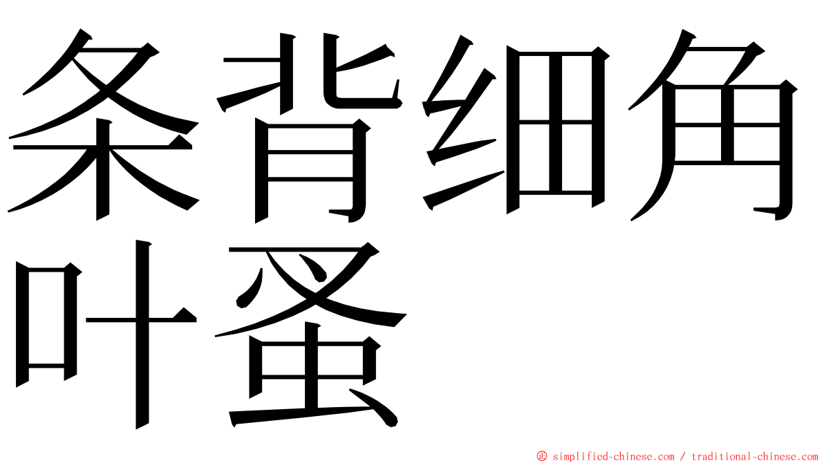 条背细角叶蚤 ming font