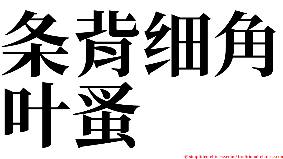 条背细角叶蚤 serif font