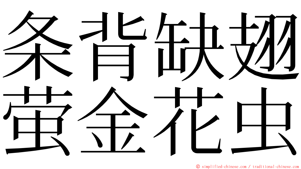 条背缺翅萤金花虫 ming font