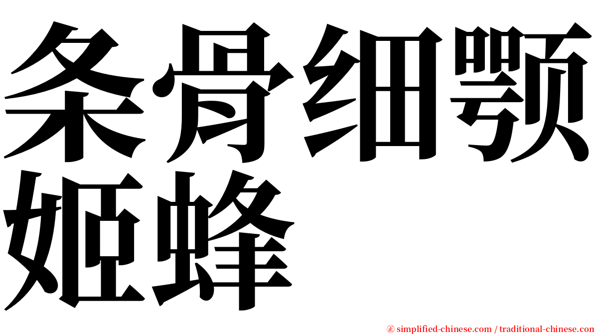 条骨细颚姬蜂 serif font