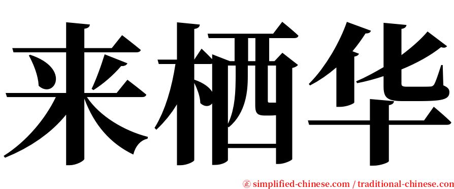 来栖华 serif font