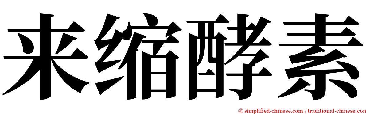 来缩酵素 serif font