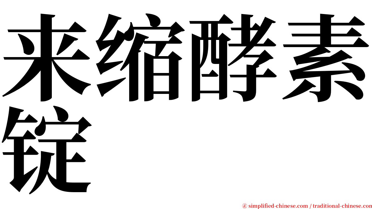 来缩酵素锭 serif font