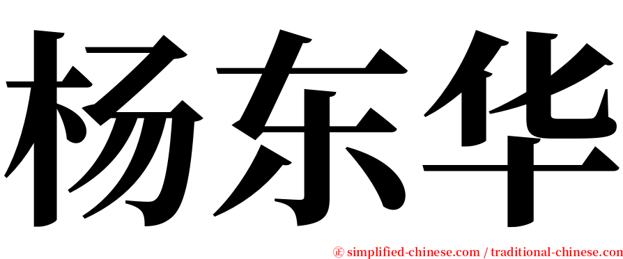 杨东华 serif font