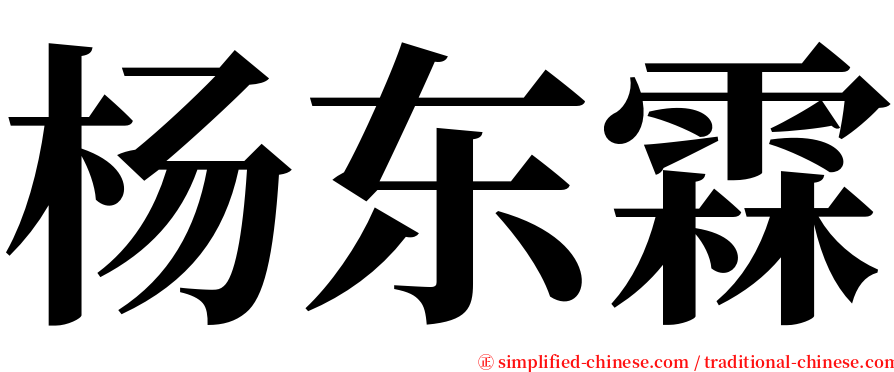 杨东霖 serif font