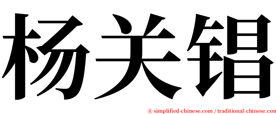 杨关锠 serif font