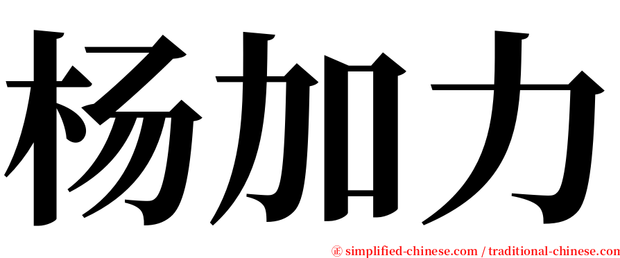 杨加力 serif font