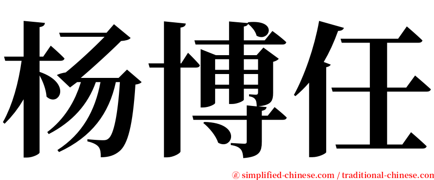 杨博任 serif font