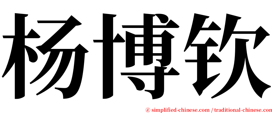 杨博钦 serif font