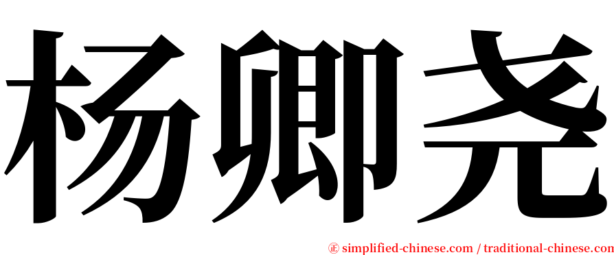 杨卿尧 serif font