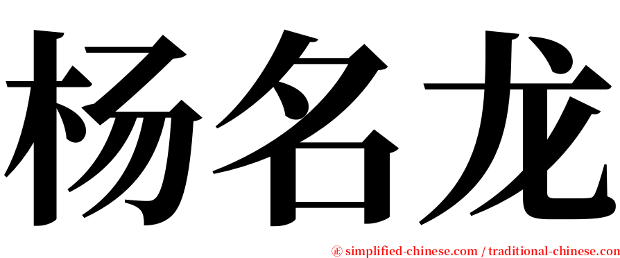 杨名龙 serif font
