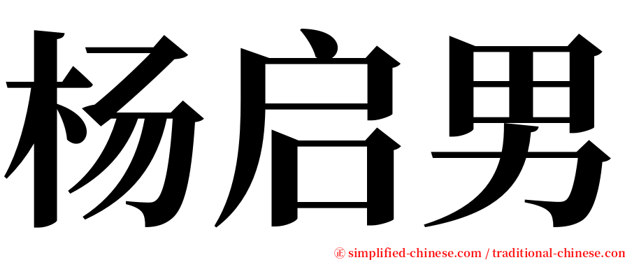 杨启男 serif font