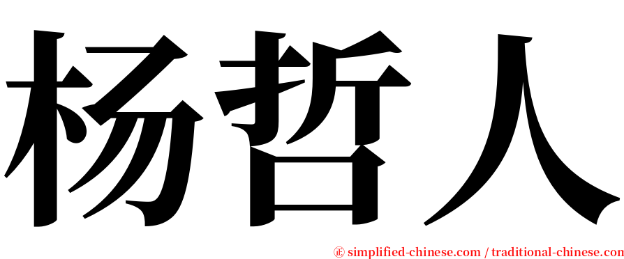 杨哲人 serif font
