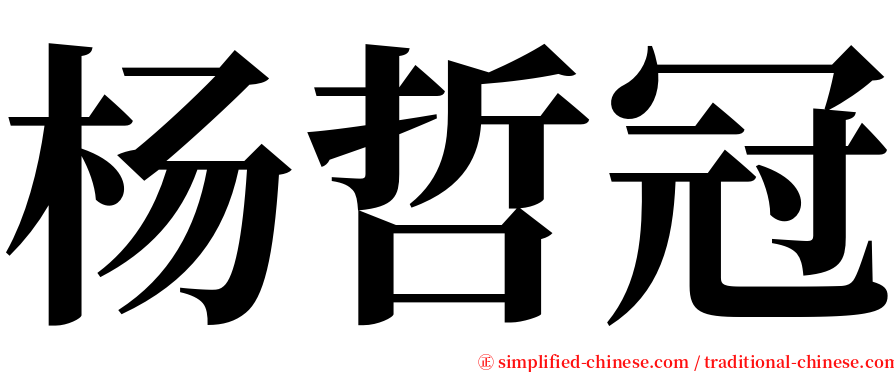 杨哲冠 serif font