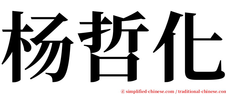 杨哲化 serif font