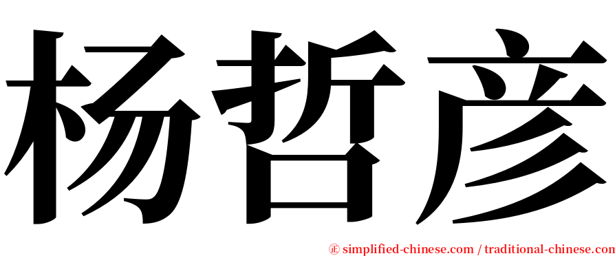 杨哲彦 serif font
