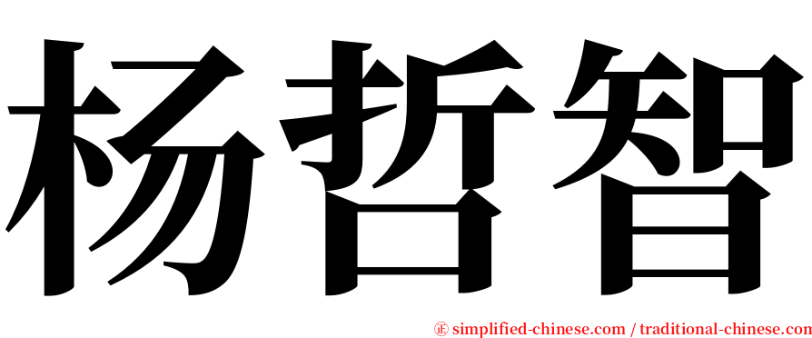 杨哲智 serif font