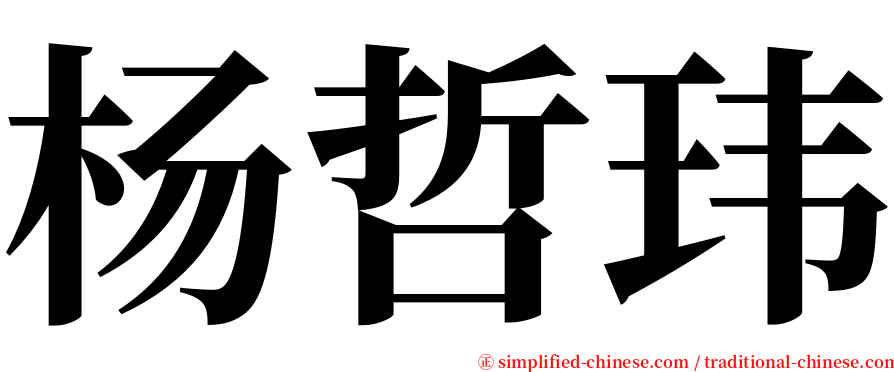 杨哲玮 serif font